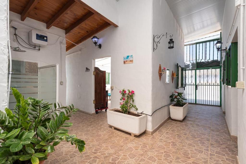 Vivienda Vacacional Ca' Pepita Y Jose El Albercon 外观 照片