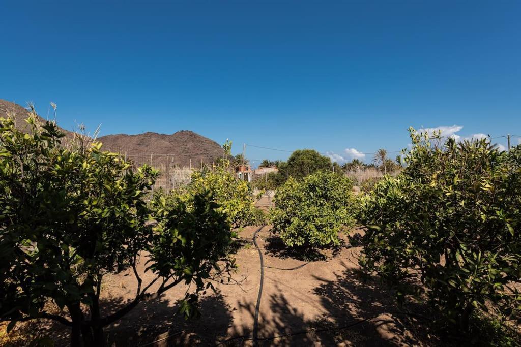 Vivienda Vacacional Ca' Pepita Y Jose El Albercon 外观 照片