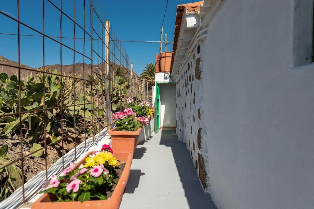 Vivienda Vacacional Ca' Pepita Y Jose El Albercon 外观 照片