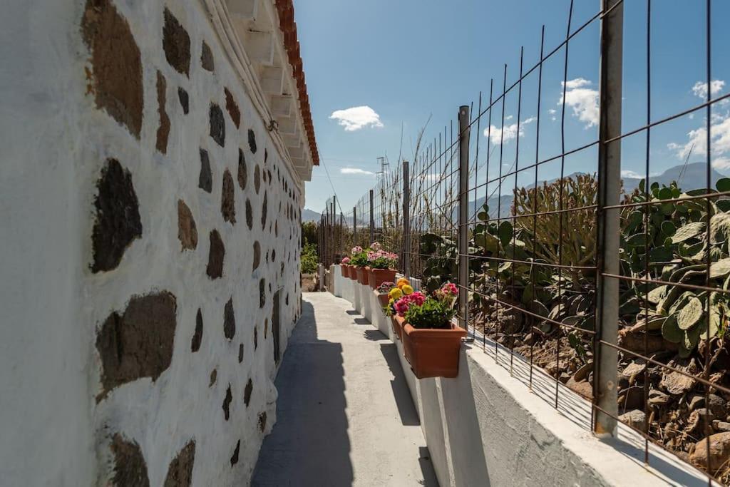 Vivienda Vacacional Ca' Pepita Y Jose El Albercon 外观 照片