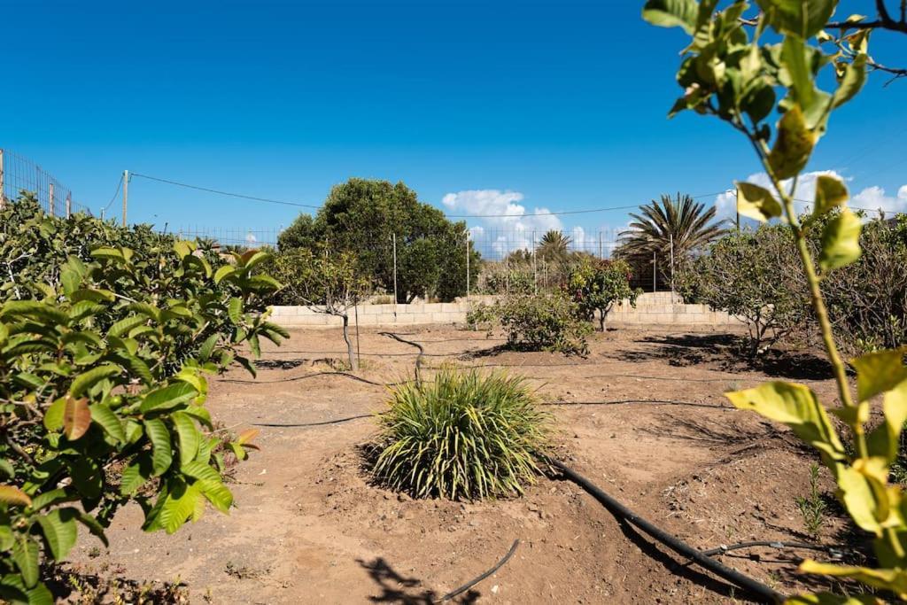 Vivienda Vacacional Ca' Pepita Y Jose El Albercon 外观 照片